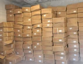 hình ảnh BỐC XẾP XUỐNG CONTAINER HÀNG QUẬN 7
