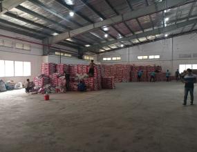 hình ảnh BỐC XẾP CONTAINER THỨC ĂN CHO PET