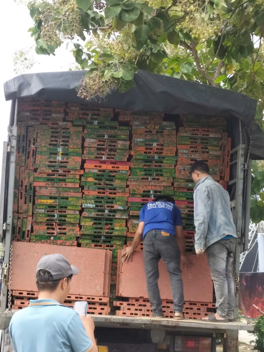 dịch vụ bốc xếp hàng hóa tại quận 9