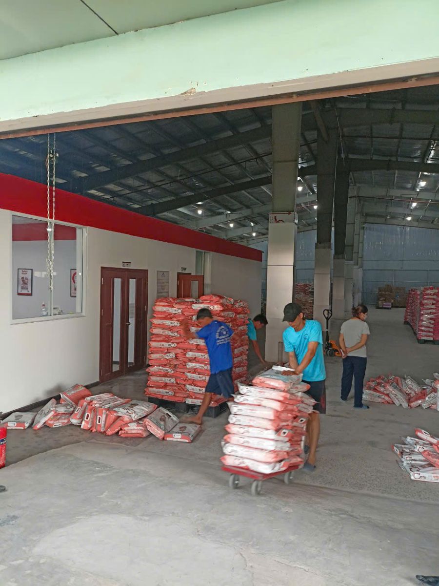 bốc xếp container tphcm