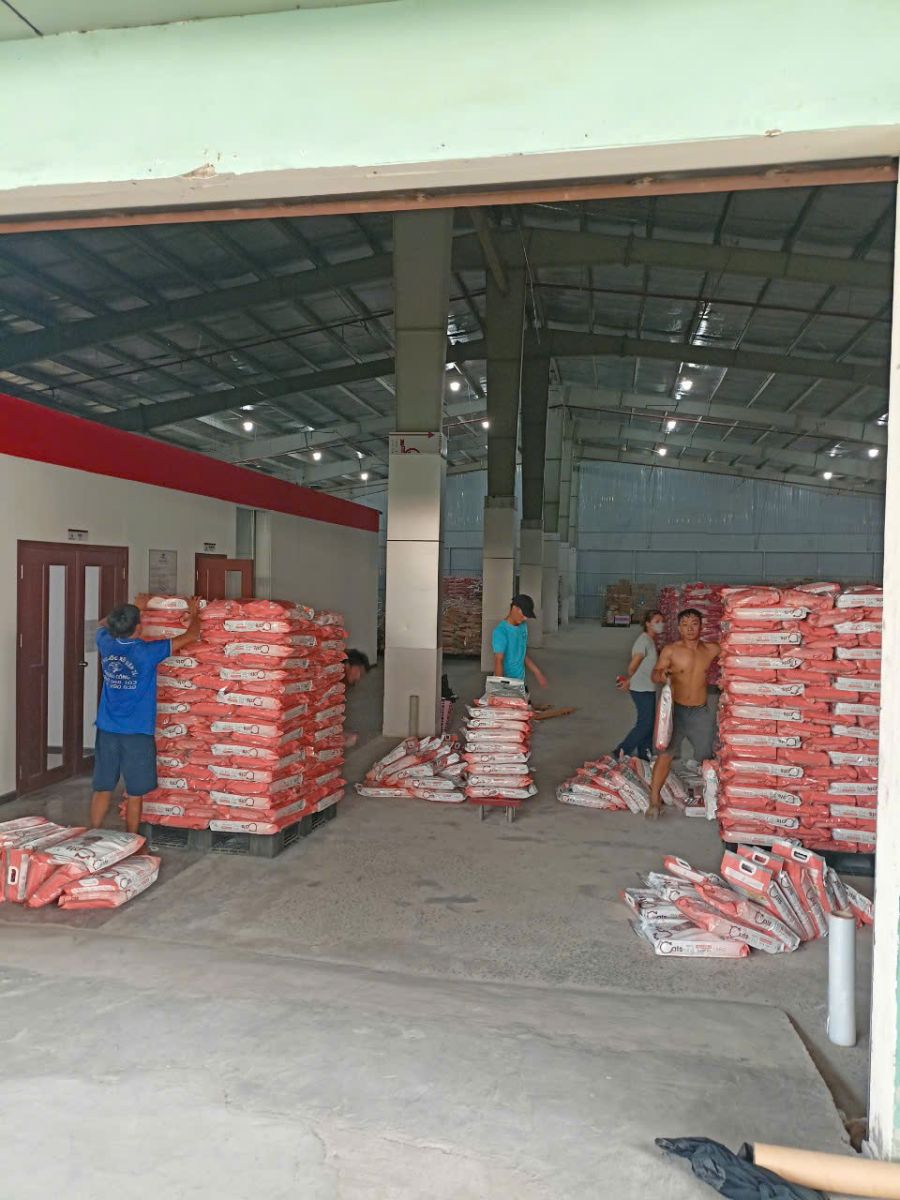 dịch vụ bốc xếp giá rẻ tại quận 7